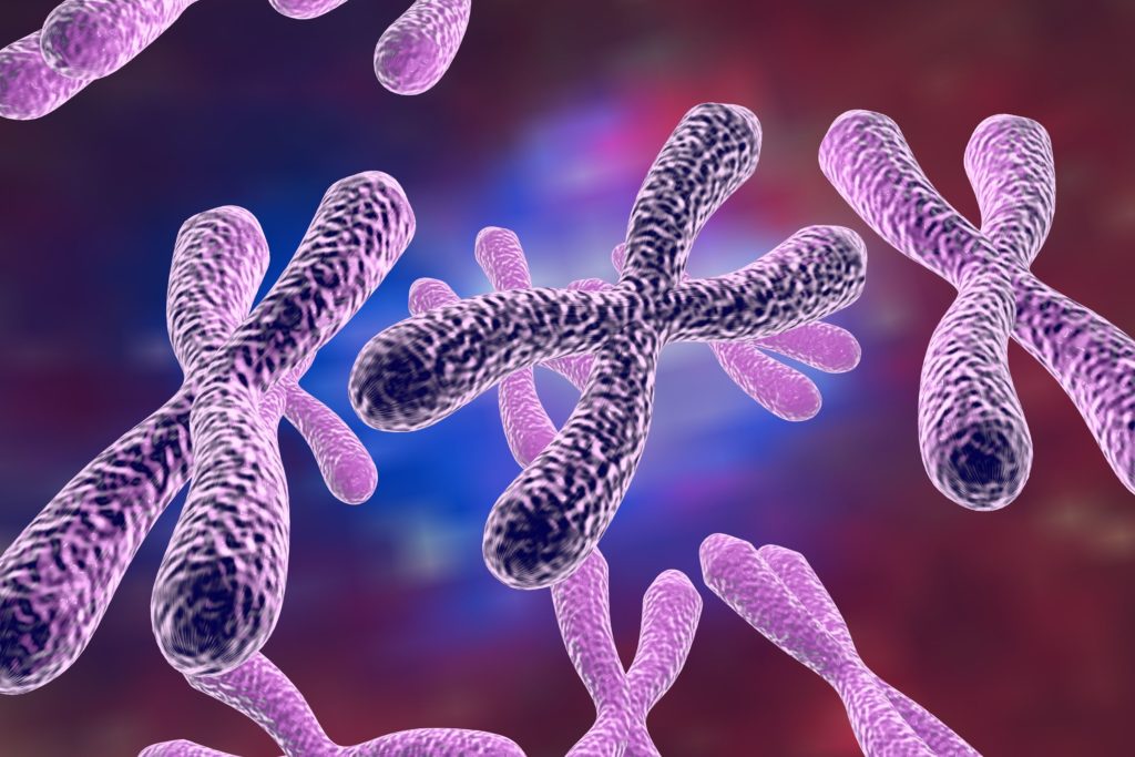 Telomeres