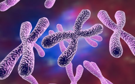 Why Do We Lose Telomeres as We Age?