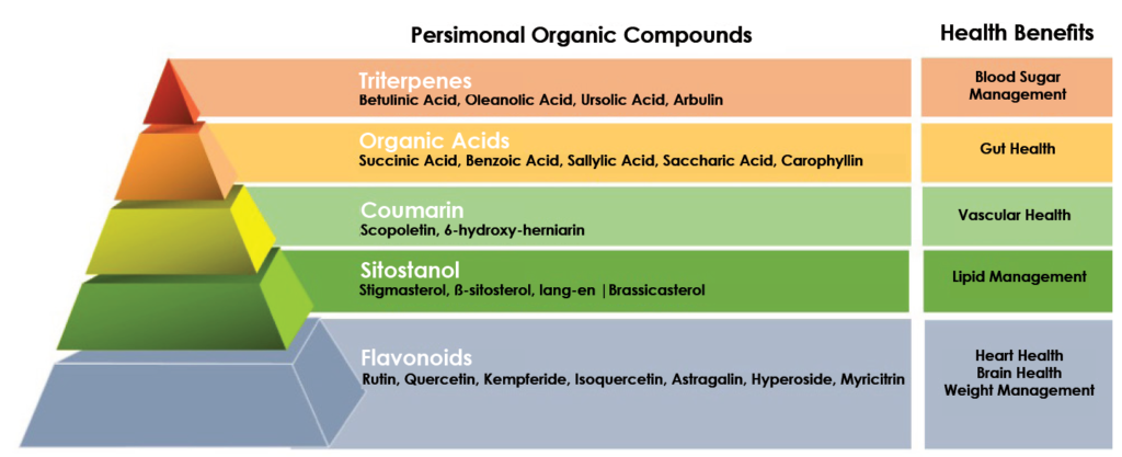 Benefits of Persimonal