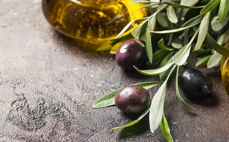 Amazing Benefits of the Olive Leaf Extract