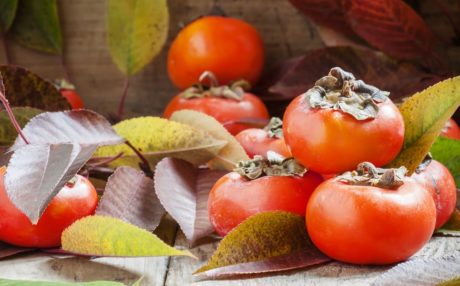 What are the Benefits of Persimmon Leaves?