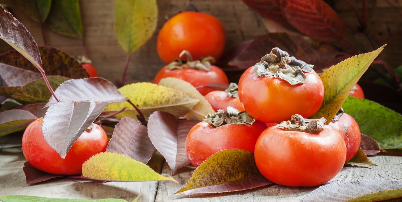 Persimmon Leaf Benefits