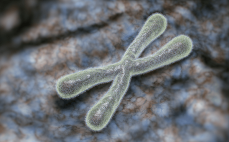 Why Do Telomeres Shorten With Age?