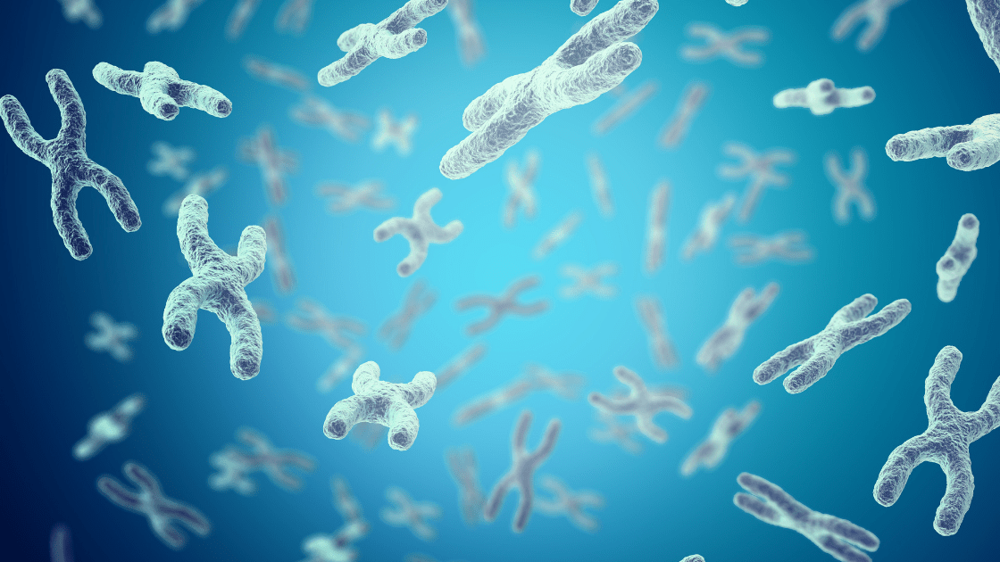 Telomere Length & Aging