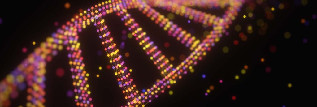 DNA-Damage