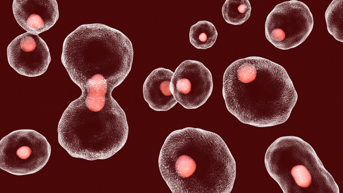 Slow down telomere shortening