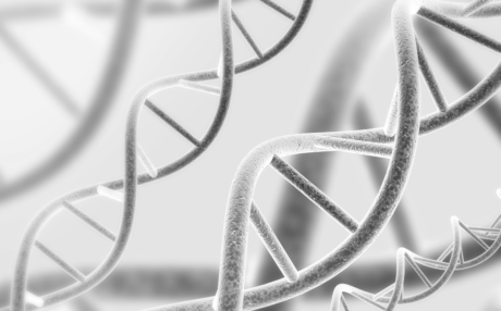 How Can I Boost DNA Repair Naturally?