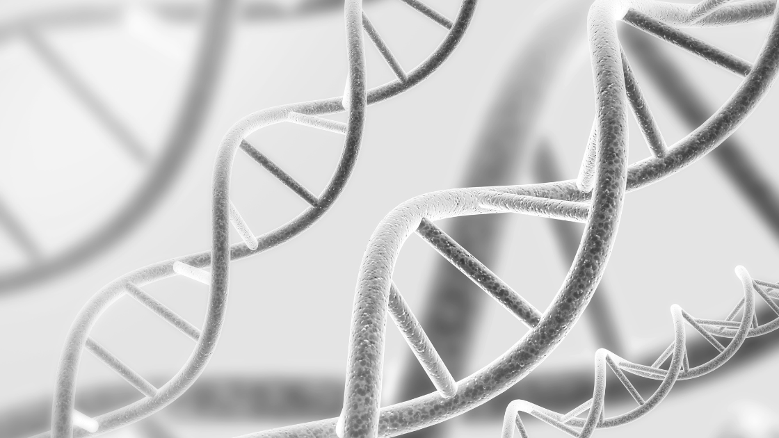 DNA repair boost