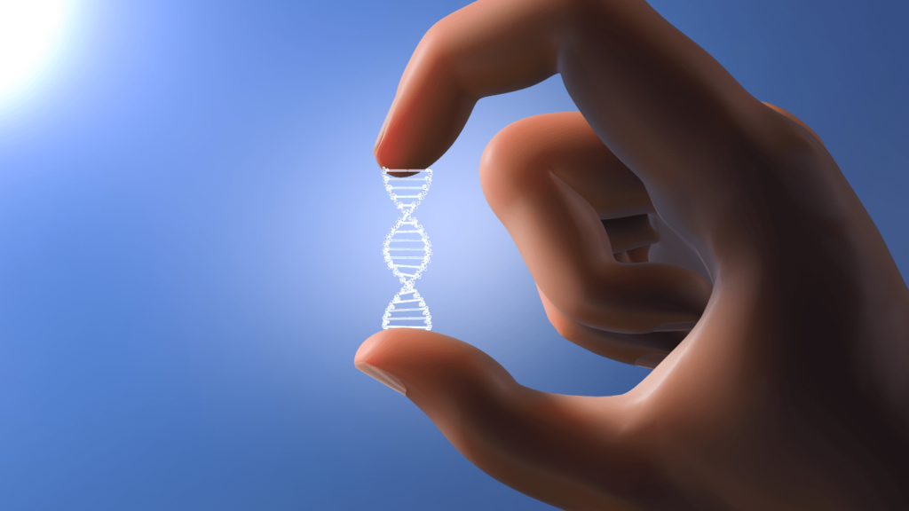 Length of Genes Determine How Long You'll Live