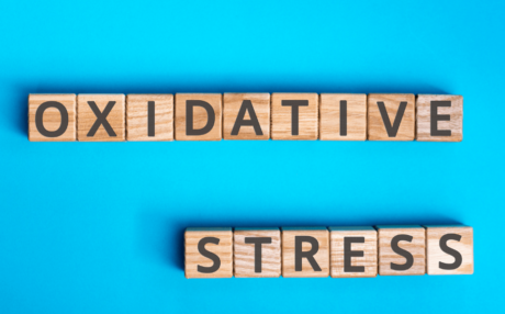 How does oxidative stress affect the body?