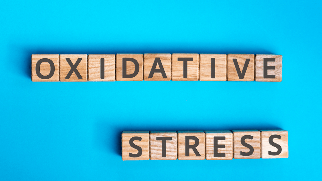 How does oxidative stress affect the body?